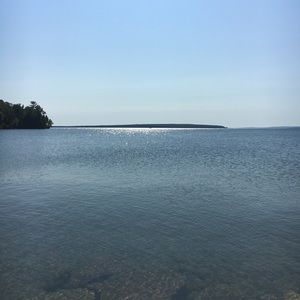 Meet your Posher, Ella